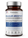 CELLULAR ARCHITECT Complexe Nutricosmétique de Structure - cure 1 mois